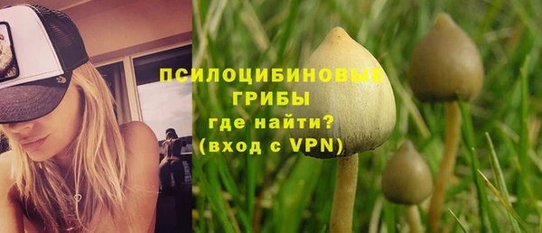 тгк Балахна