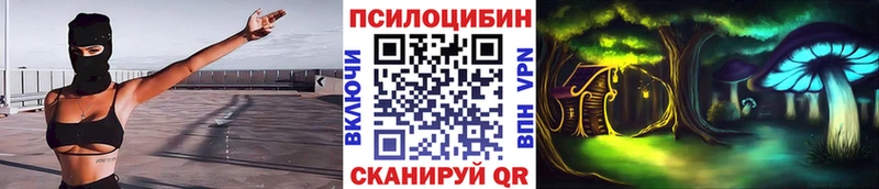 Купить  Губкин  Галлюциногенные грибы Cubensis 